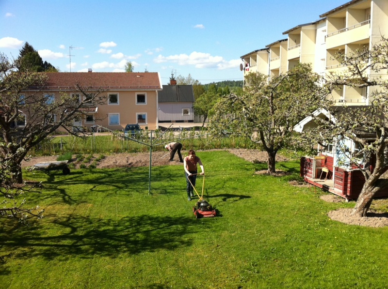Annons huvudbild